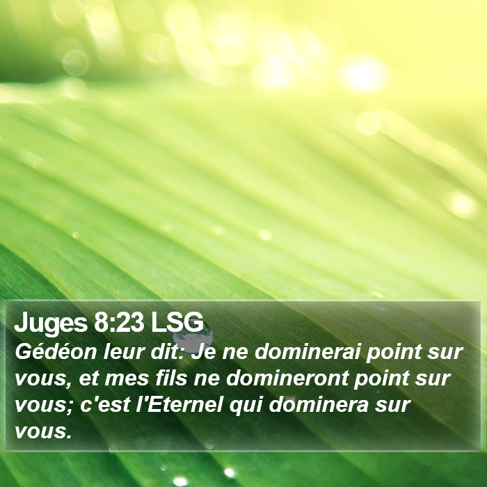 Juges 8:23 LSG Bible Study