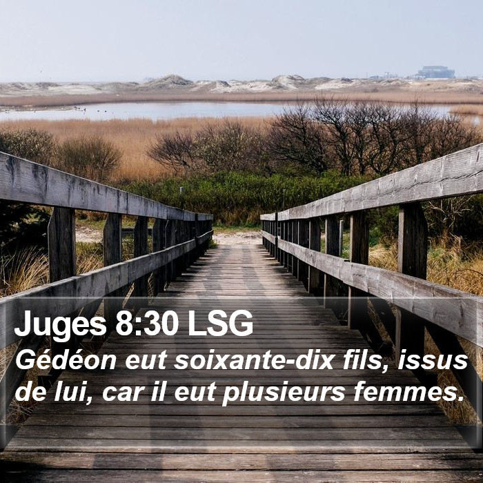 Juges 8:30 LSG Bible Study