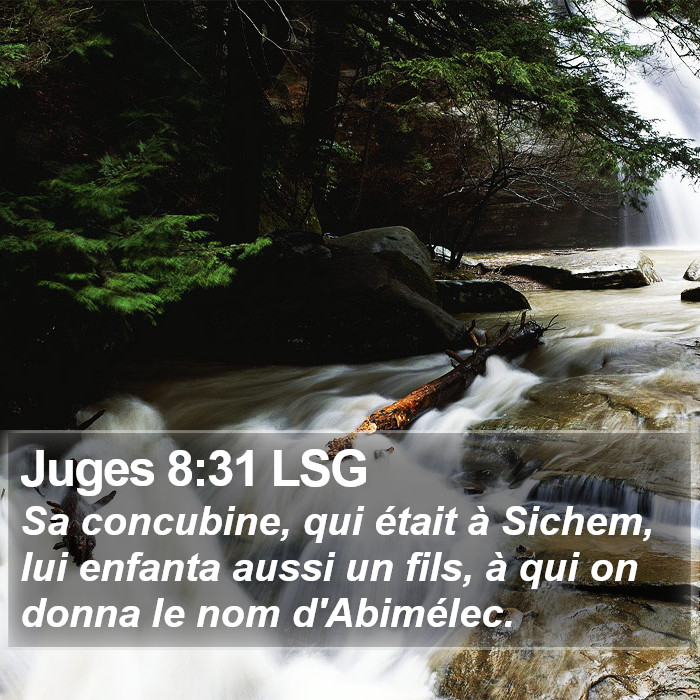 Juges 8:31 LSG Bible Study