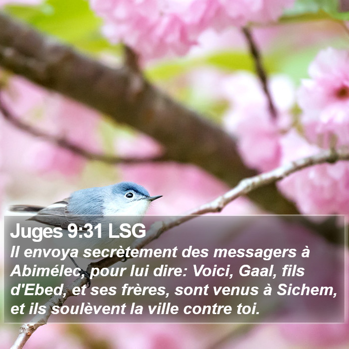 Juges 9:31 LSG Bible Study