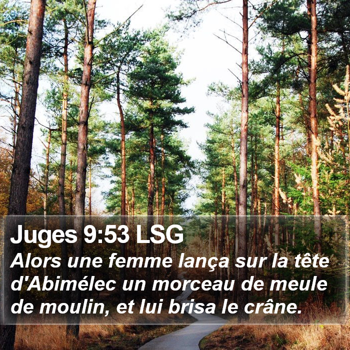 Juges 9:53 LSG Bible Study