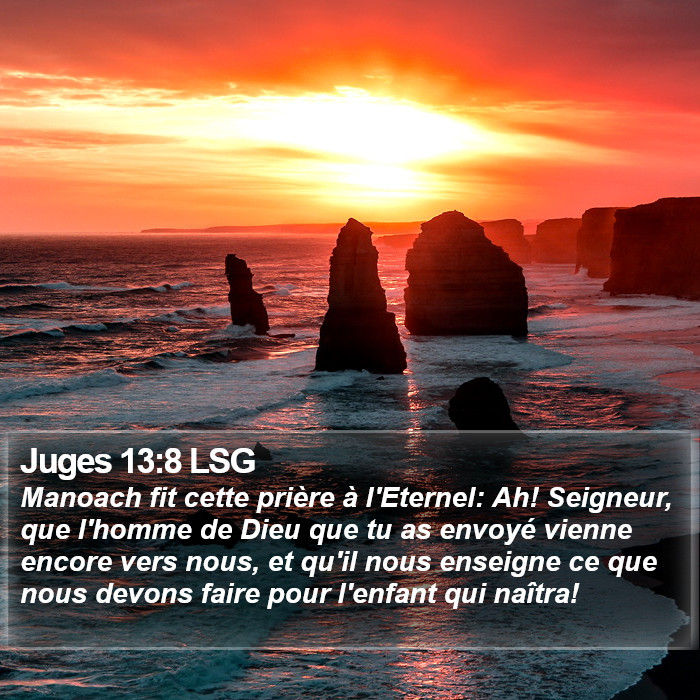 Juges 13:8 LSG Bible Study