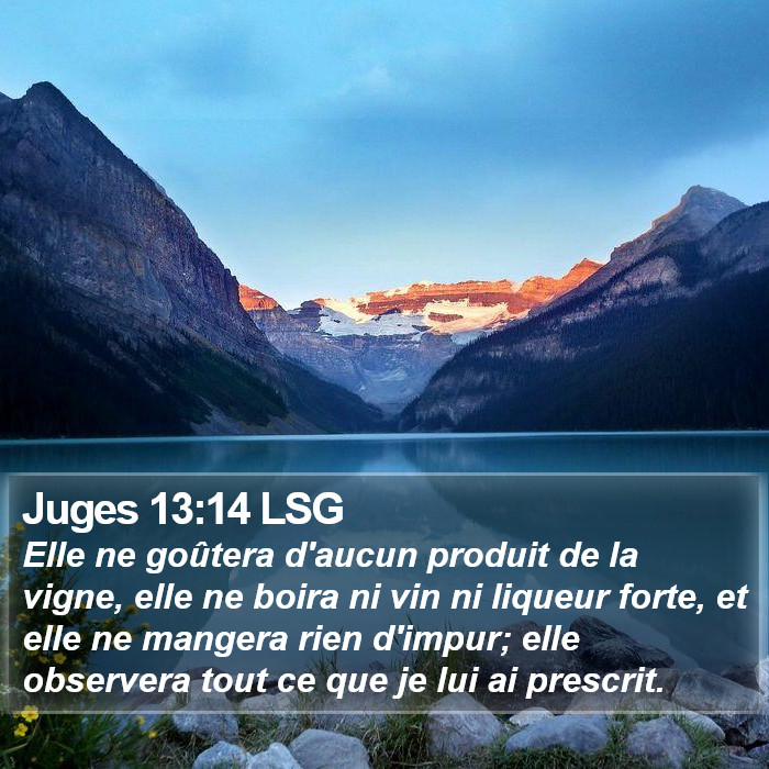 Juges 13:14 LSG Bible Study