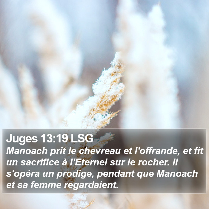 Juges 13:19 LSG Bible Study