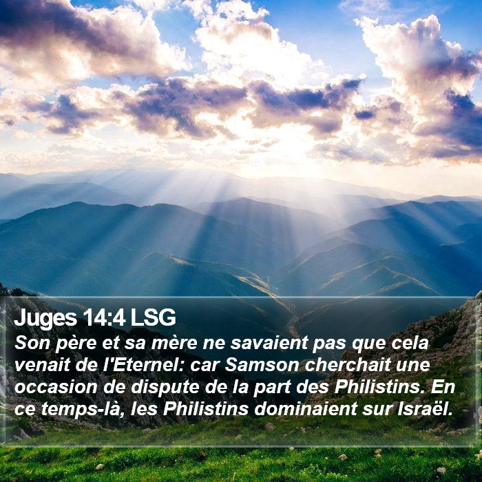 Juges 14:4 LSG Bible Study