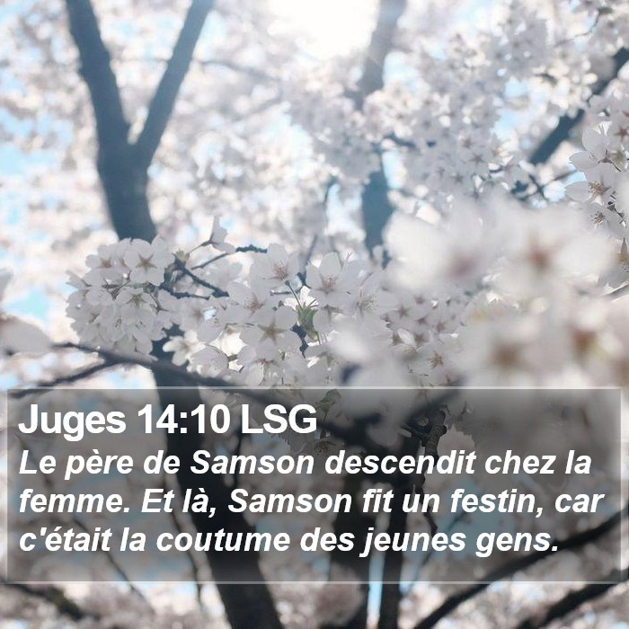 Juges 14:10 LSG Bible Study