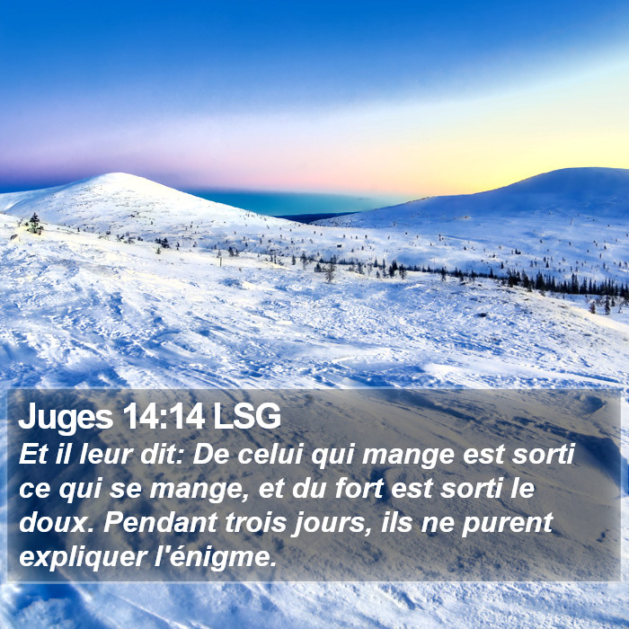 Juges 14:14 LSG Bible Study