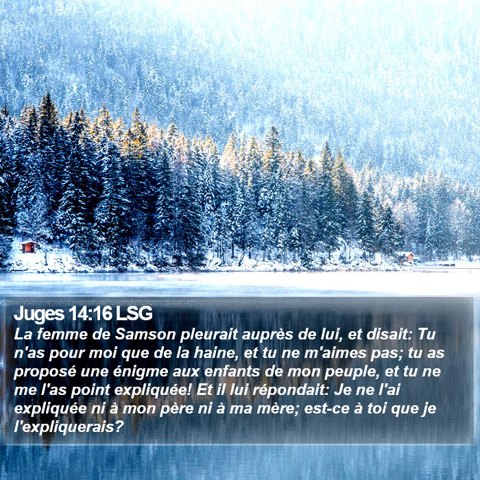 Juges 14:16 LSG Bible Study