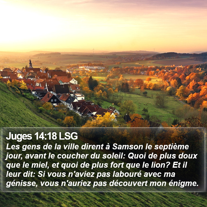 Juges 14:18 LSG Bible Study