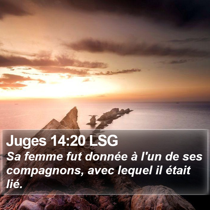 Juges 14:20 LSG Bible Study