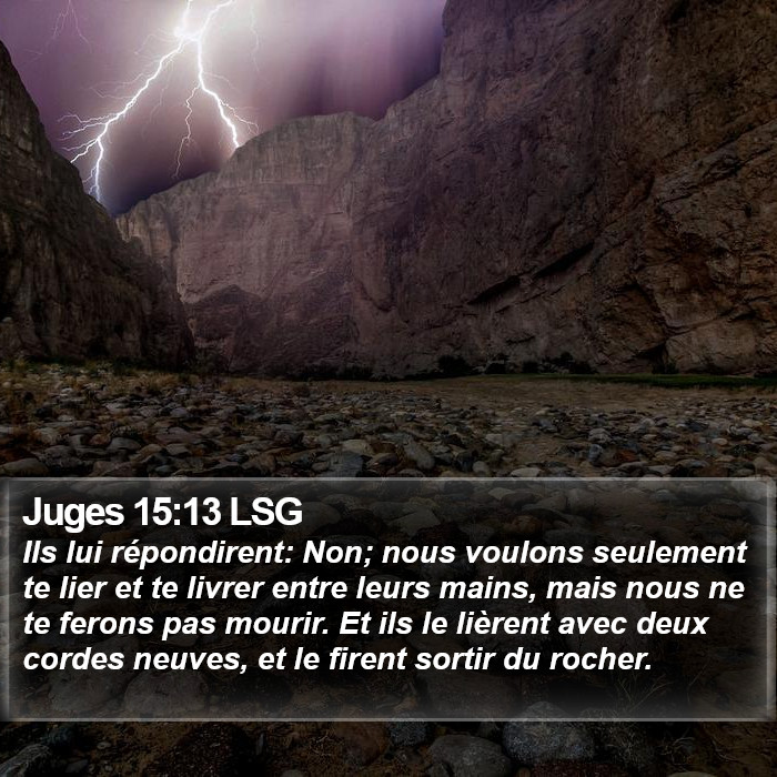 Juges 15:13 LSG Bible Study