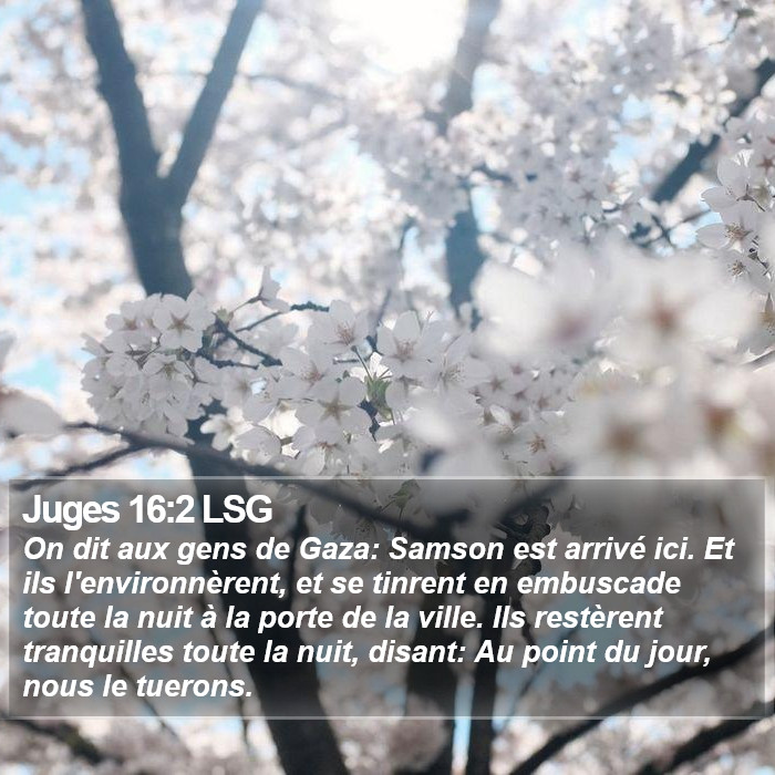 Juges 16:2 LSG Bible Study