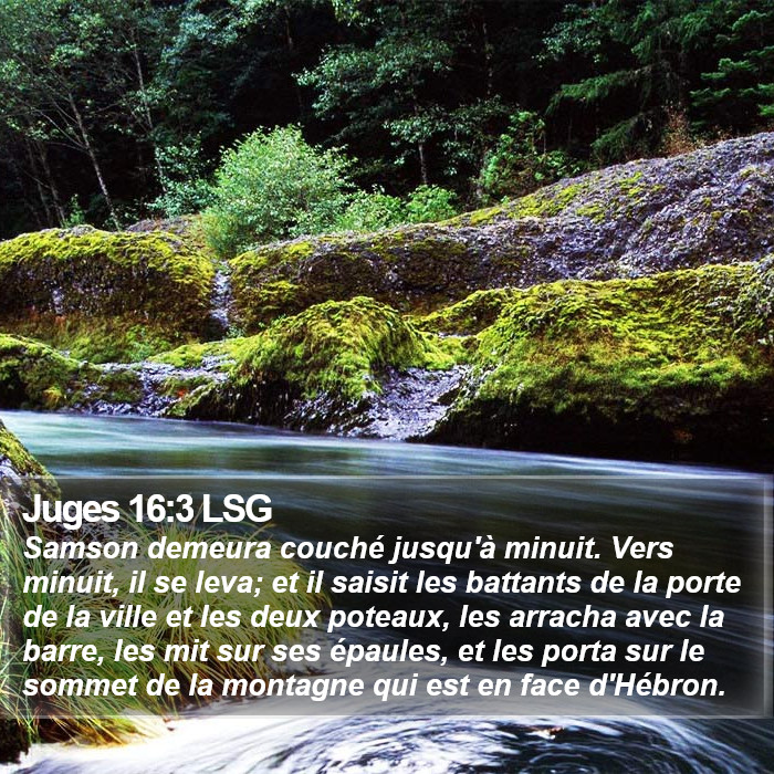 Juges 16:3 LSG Bible Study