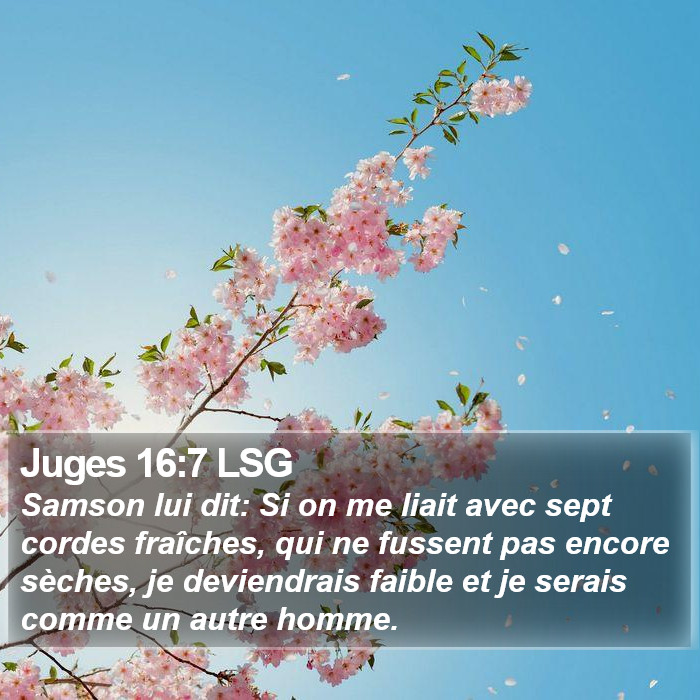 Juges 16:7 LSG Bible Study