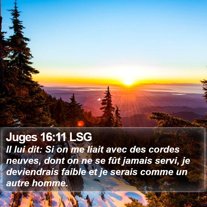 Juges 16:11 LSG Bible Study