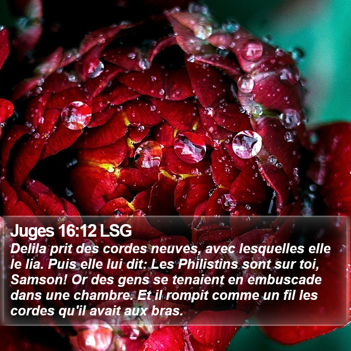 Juges 16:12 LSG Bible Study