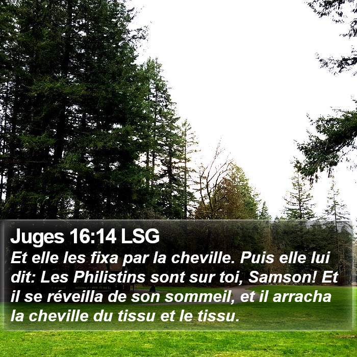 Juges 16:14 LSG Bible Study