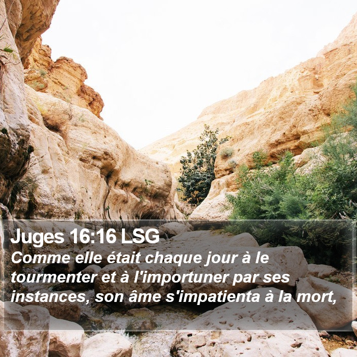 Juges 16:16 LSG Bible Study