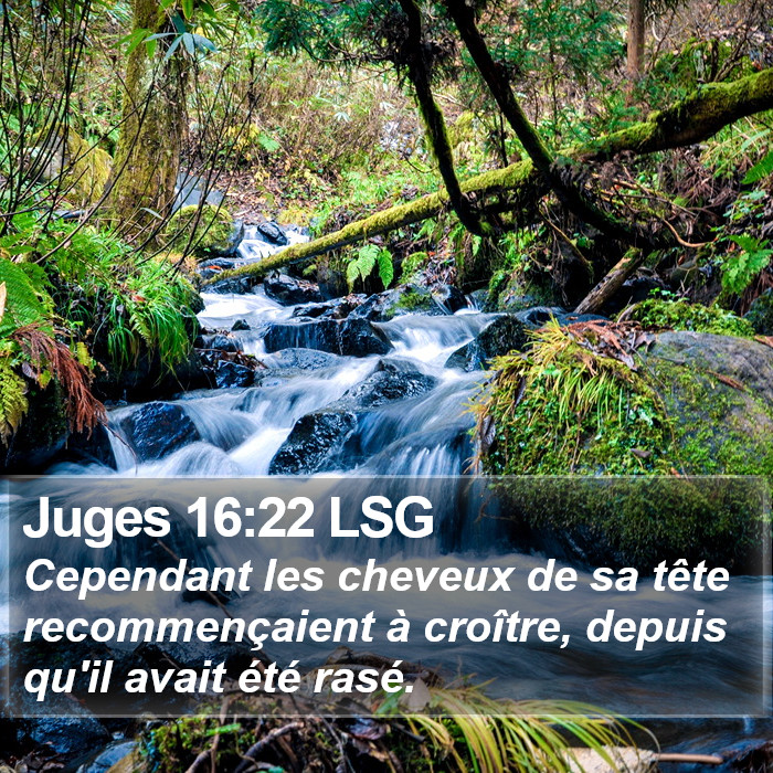 Juges 16:22 LSG Bible Study