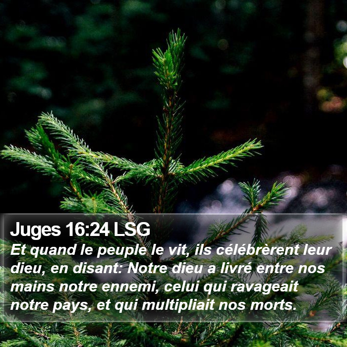 Juges 16:24 LSG Bible Study