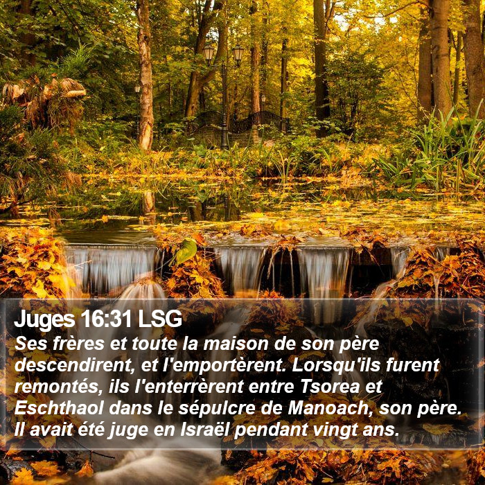 Juges 16:31 LSG Bible Study