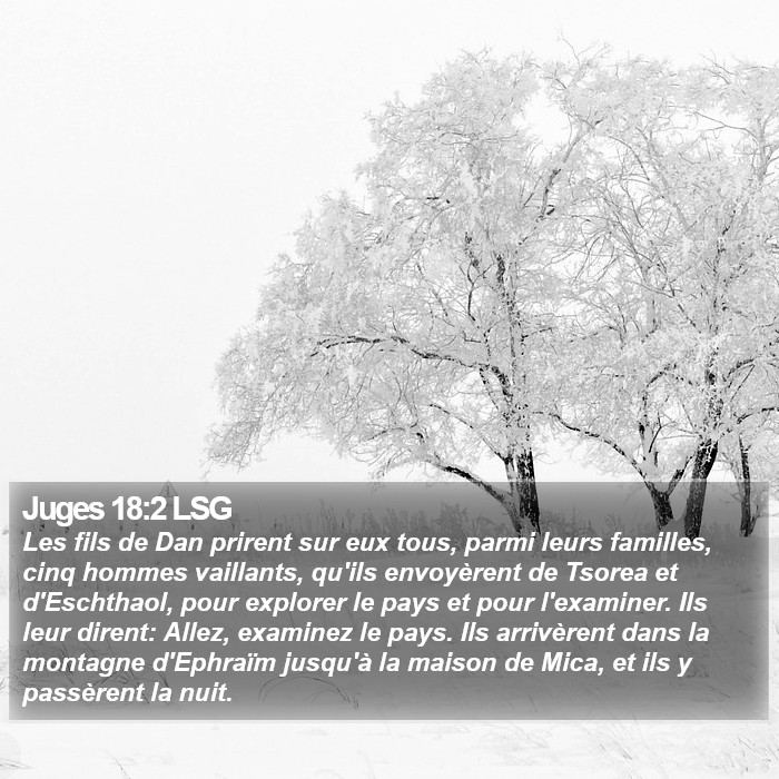 Juges 18:2 LSG Bible Study