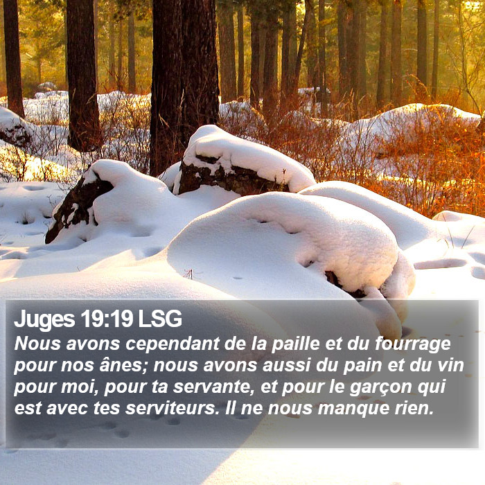Juges 19:19 LSG Bible Study