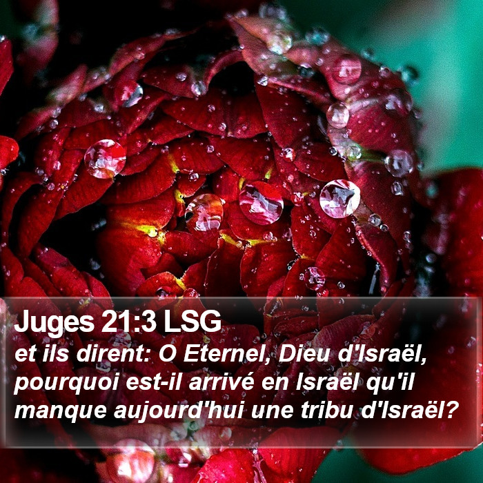 Juges 21:3 LSG Bible Study