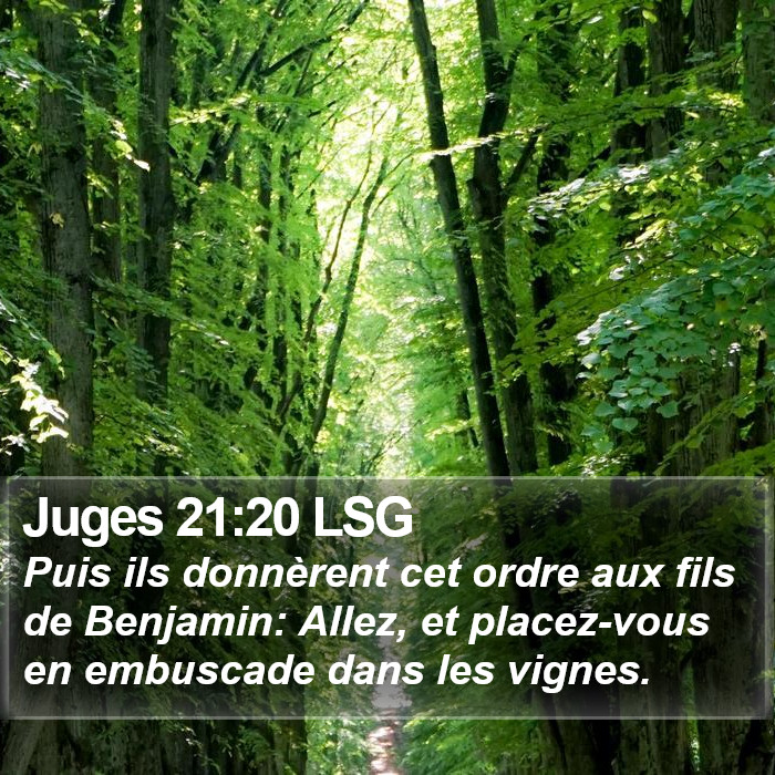 Juges 21:20 LSG Bible Study