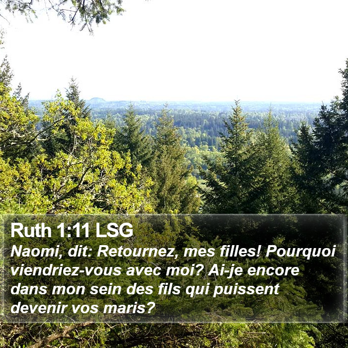 Ruth 1:11 LSG Bible Study