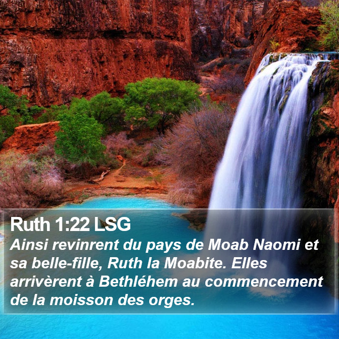 Ruth 1:22 LSG Bible Study