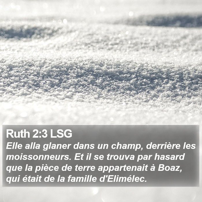 Ruth 2:3 LSG Bible Study