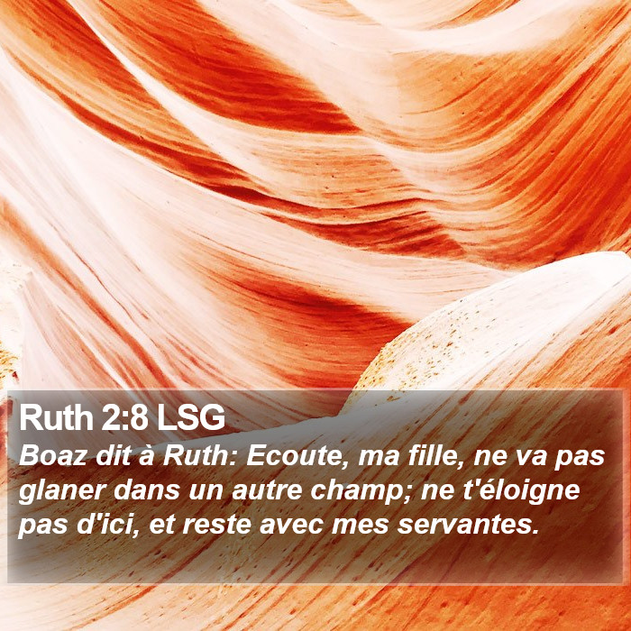 Ruth 2:8 LSG Bible Study