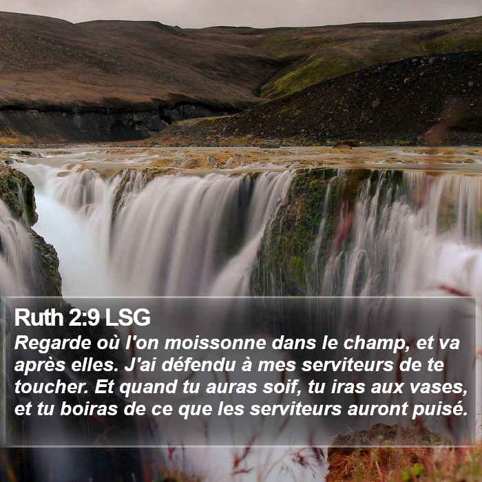 Ruth 2:9 LSG Bible Study