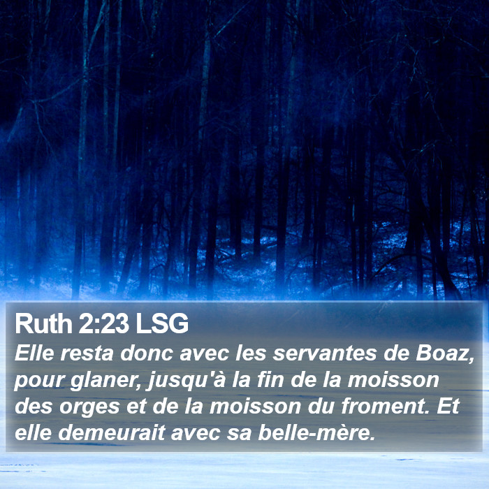 Ruth 2:23 LSG Bible Study