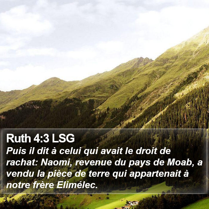 Ruth 4:3 LSG Bible Study