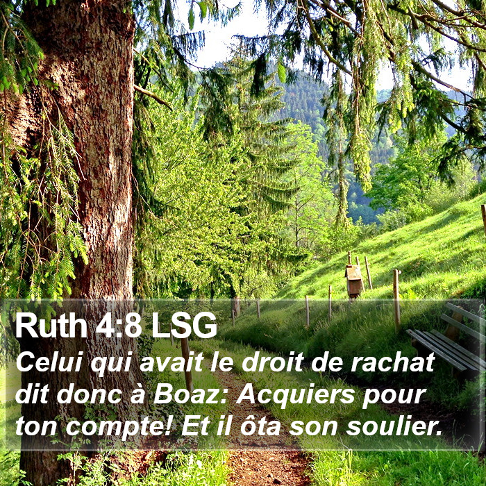 Ruth 4:8 LSG Bible Study