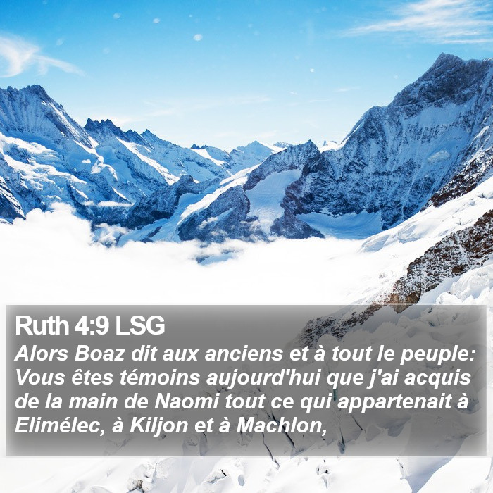 Ruth 4:9 LSG Bible Study