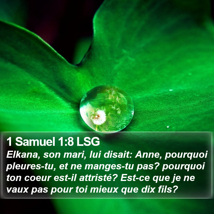 1 Samuel 1:8 LSG Bible Study