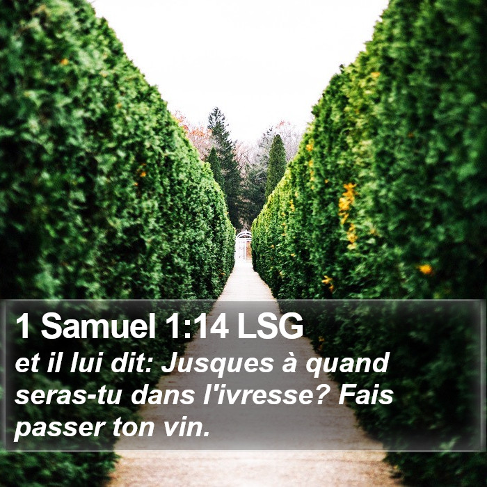 1 Samuel 1:14 LSG Bible Study