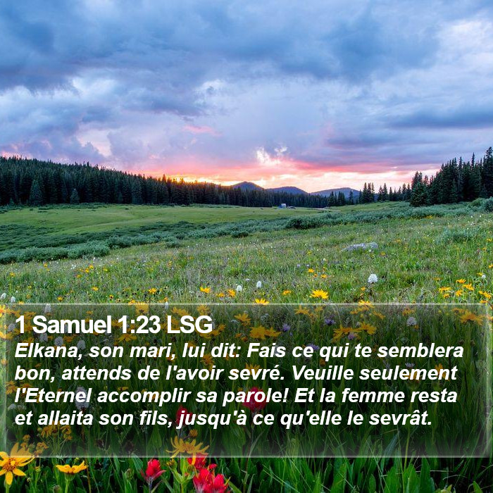 1 Samuel 1:23 LSG Bible Study