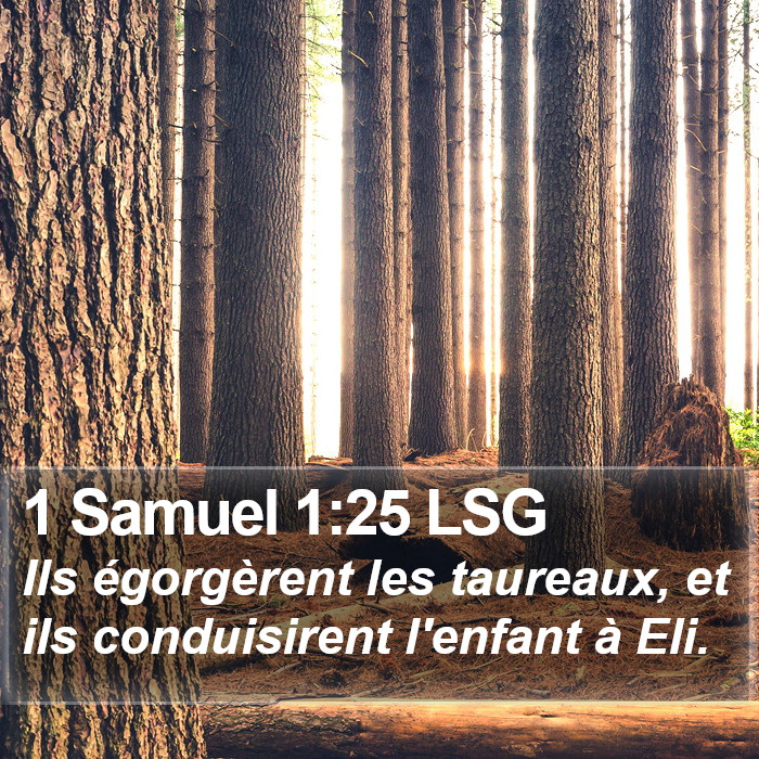 1 Samuel 1:25 LSG Bible Study