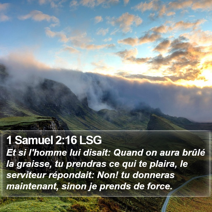 1 Samuel 2:16 LSG Bible Study