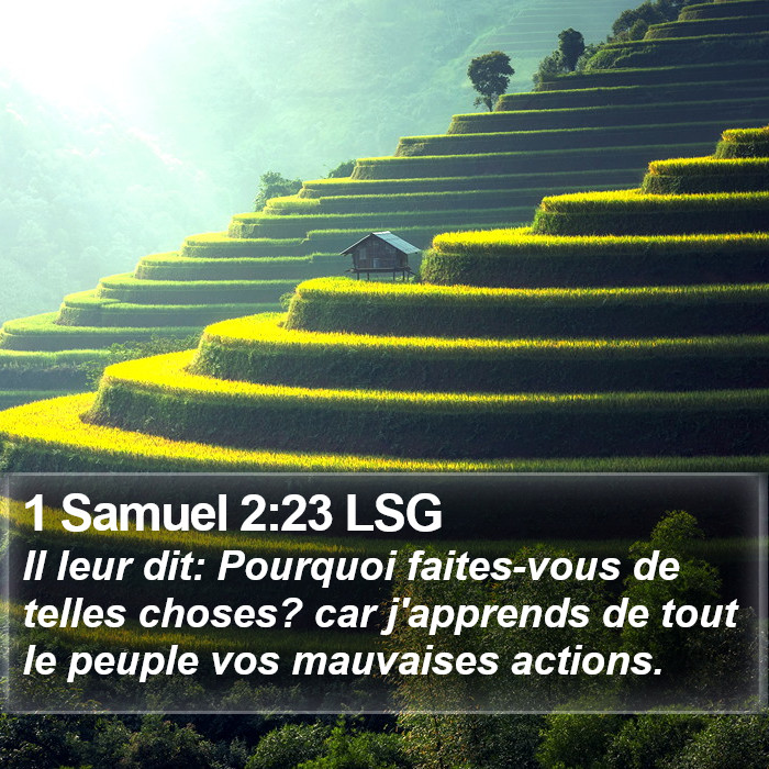 1 Samuel 2:23 LSG Bible Study
