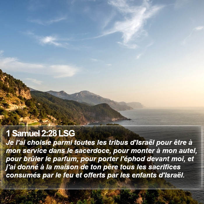 1 Samuel 2:28 LSG Bible Study