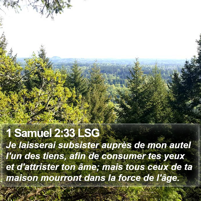 1 Samuel 2:33 LSG Bible Study