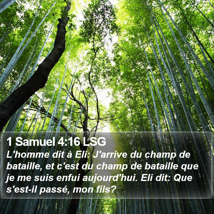 1 Samuel 4:16 LSG Bible Study