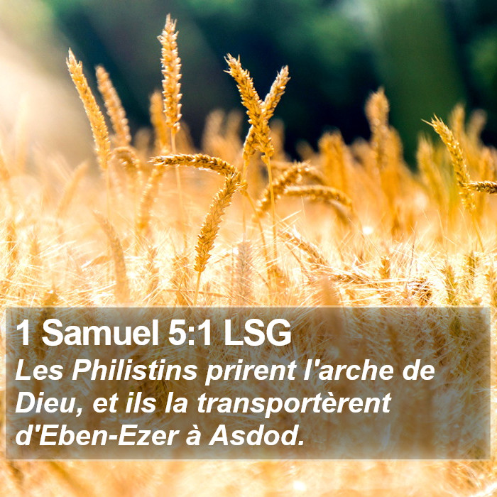 1 Samuel 5:1 LSG Bible Study