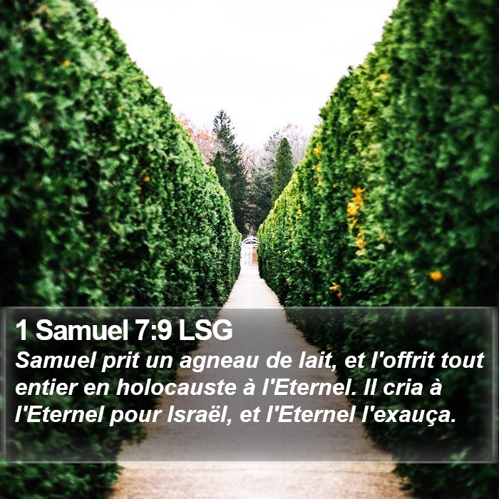 1 Samuel 7:9 LSG Bible Study
