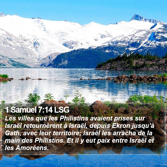 1 Samuel 7:14 LSG Bible Study